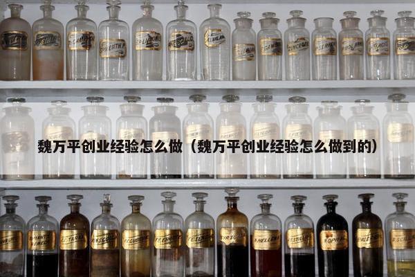 魏万平创业经验怎么做（魏万平创业经验怎么做到的）