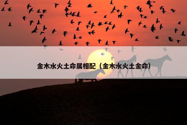 金木水火土命属相配（金木水火土金命）