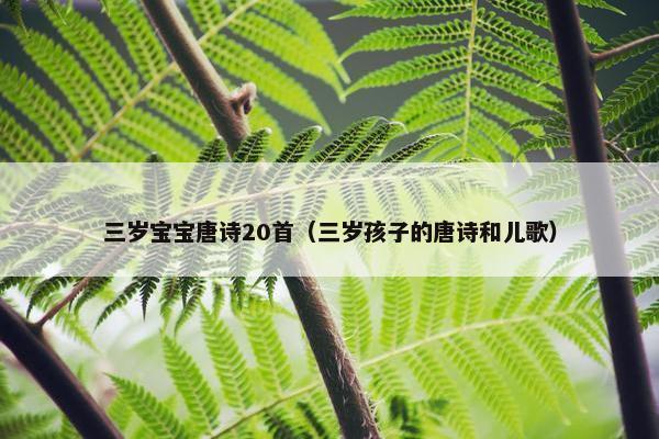 三岁宝宝唐诗20首（三岁孩子的唐诗和儿歌）