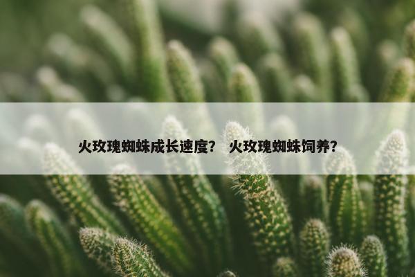 火玫瑰蜘蛛成长速度？ 火玫瑰蜘蛛饲养？