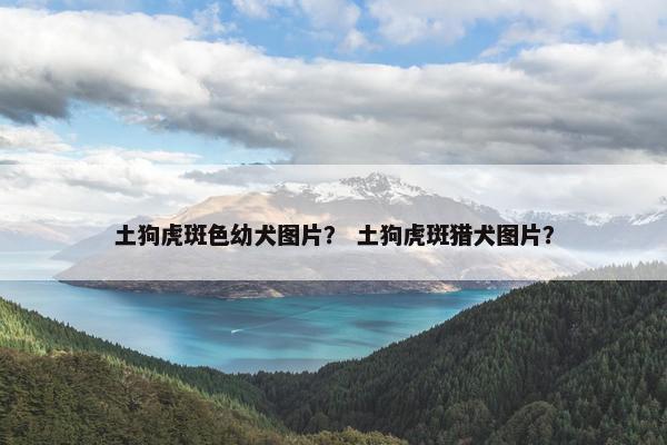 土狗虎斑色幼犬图片？ 土狗虎斑猎犬图片？