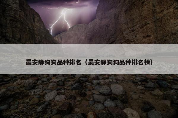 最安静狗狗品种排名（最安静狗狗品种排名榜）