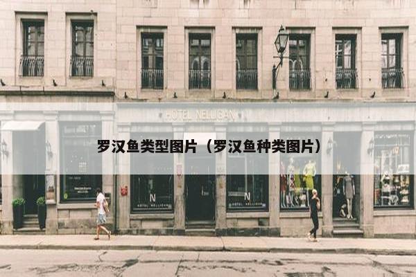 罗汉鱼类型图片（罗汉鱼种类图片）