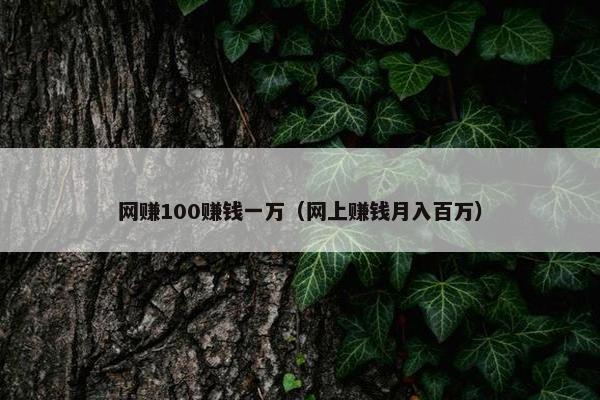 网赚100赚钱一万（网上赚钱月入百万）