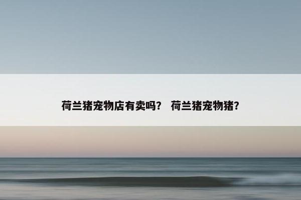 荷兰猪宠物店有卖吗？ 荷兰猪宠物猪？