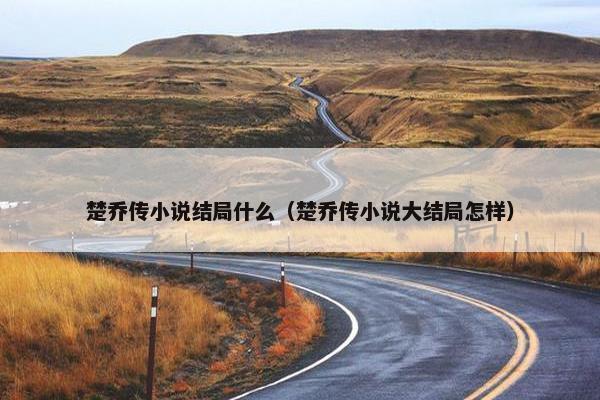 楚乔传小说结局什么（楚乔传小说大结局怎样）