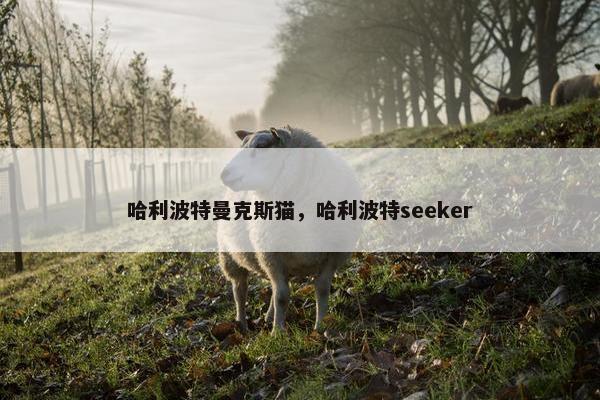 哈利波特曼克斯猫，哈利波特seeker