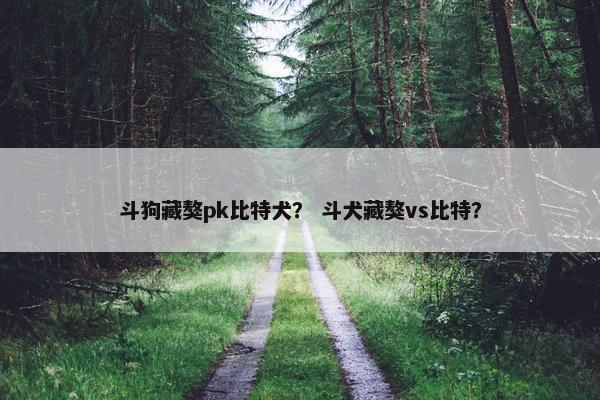 斗狗藏獒pk比特犬？ 斗犬藏獒vs比特？