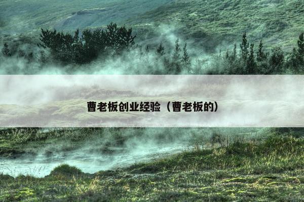 曹老板创业经验（曹老板的）