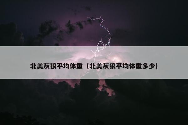 北美灰狼平均体重（北美灰狼平均体重多少）