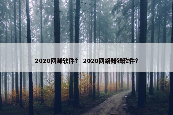 2020网赚软件？ 2020网络赚钱软件？