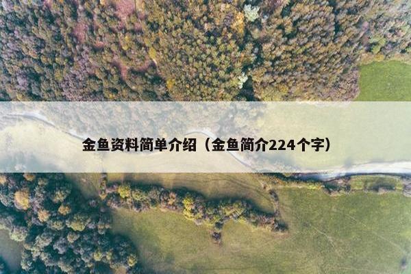 金鱼资料简单介绍（金鱼简介224个字）