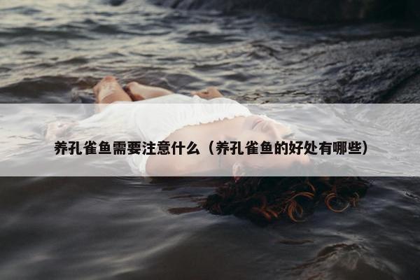 养孔雀鱼需要注意什么（养孔雀鱼的好处有哪些）