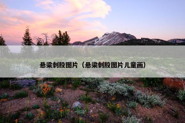 悬梁刺股图片（悬梁刺股图片儿童画）