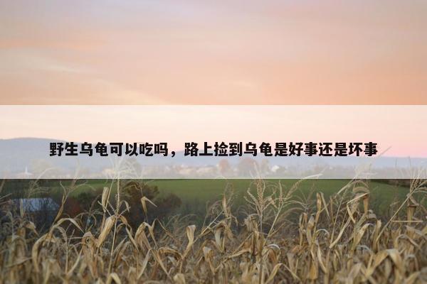 野生乌龟可以吃吗，路上捡到乌龟是好事还是坏事