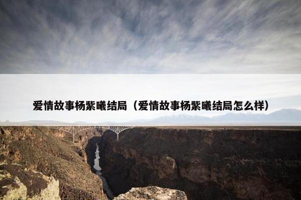 爱情故事杨紫曦结局（爱情故事杨紫曦结局怎么样）