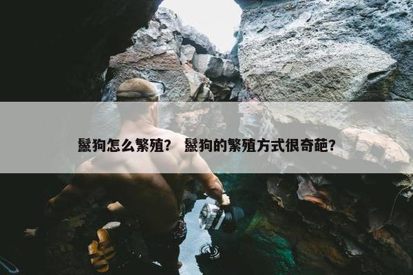 鬣狗怎么繁殖？ 鬣狗的繁殖方式很奇葩？