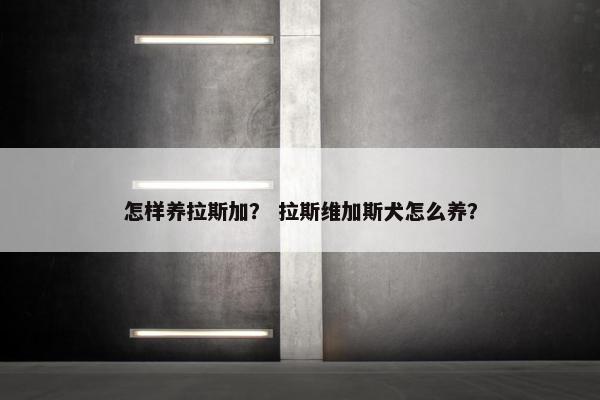 怎样养拉斯加？ 拉斯维加斯犬怎么养？