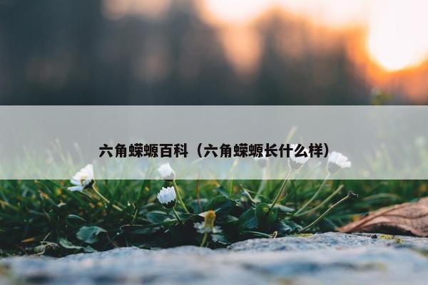 六角蝾螈百科（六角蝾螈长什么样）