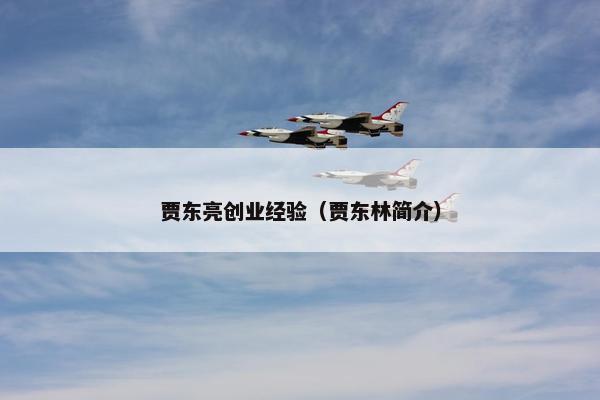 贾东亮创业经验（贾东林简介）