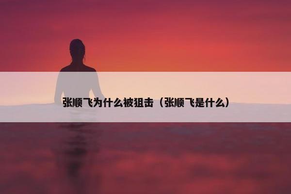 张顺飞为什么被狙击（张顺飞是什么）
