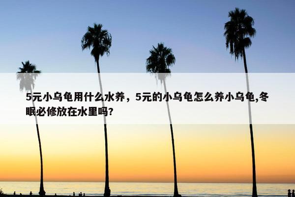 5元小乌龟用什么水养，5元的小乌龟怎么养小乌龟,冬眠必修放在水里吗?