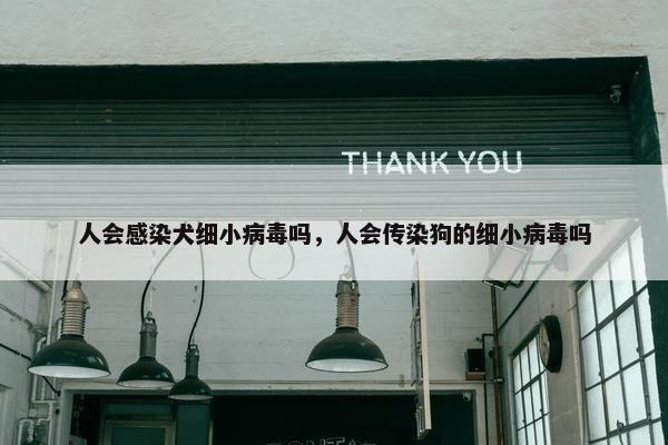 人会感染犬细小病毒吗，人会传染狗的细小病毒吗