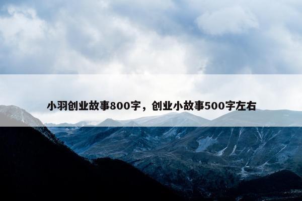 小羽创业故事800字，创业小故事500字左右