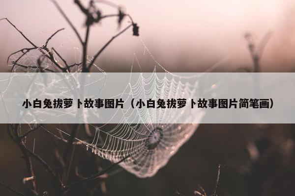 小白兔拔萝卜故事图片（小白兔拔萝卜故事图片简笔画）