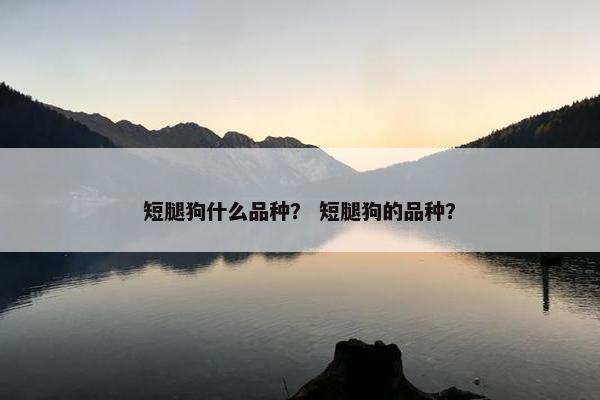 短腿狗什么品种？ 短腿狗的品种？