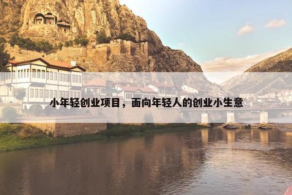 小年轻创业项目，面向年轻人的创业小生意
