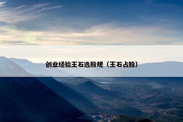 创业经验王石选股规（王石占股）