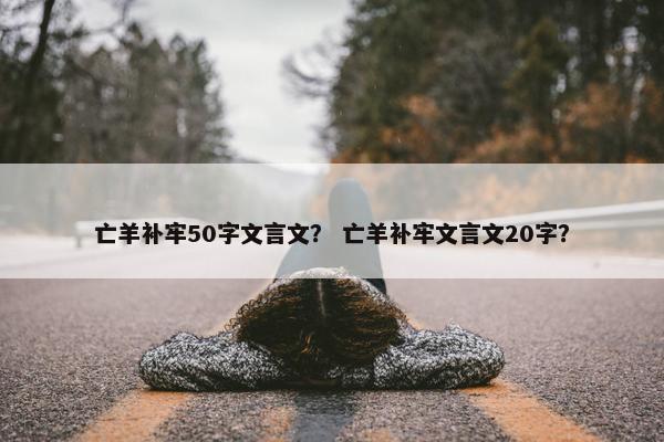 亡羊补牢50字文言文？ 亡羊补牢文言文20字？