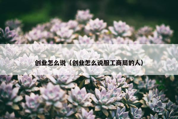 创业怎么说（创业怎么说服工商局的人）