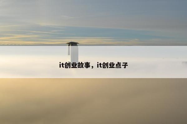 it创业故事，it创业点子
