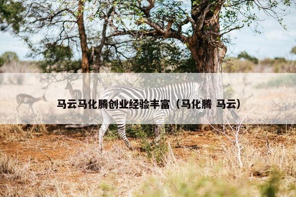 马云马化腾创业经验丰富（马化腾 马云）