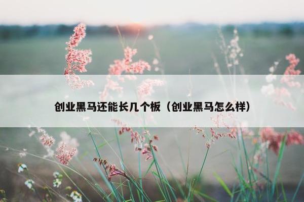 创业黑马还能长几个板（创业黑马怎么样）