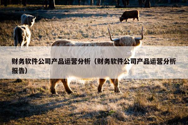 财务软件公司产品运营分析（财务软件公司产品运营分析报告）