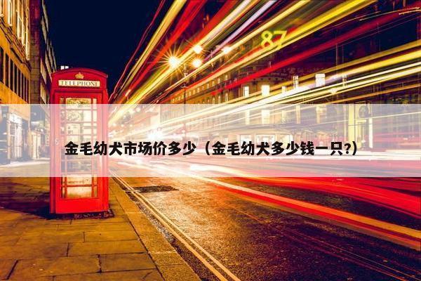 金毛幼犬市场价多少（金毛幼犬多少钱一只?）