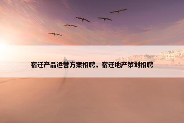 宿迁产品运营方案招聘，宿迁地产策划招聘