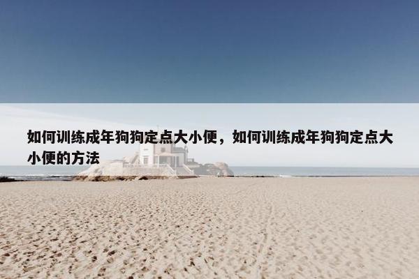 如何训练成年狗狗定点大小便，如何训练成年狗狗定点大小便的方法