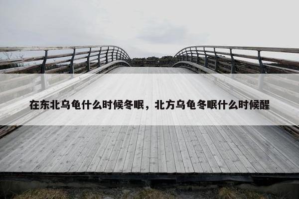 在东北乌龟什么时候冬眠，北方乌龟冬眠什么时候醒