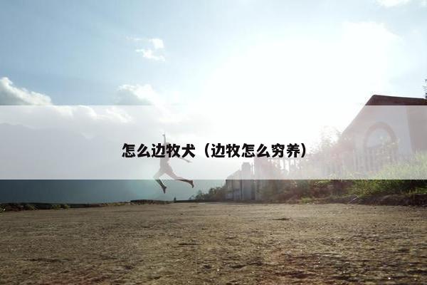 怎么边牧犬（边牧怎么穷养）