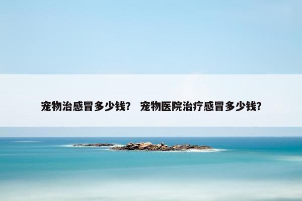 宠物治感冒多少钱？ 宠物医院治疗感冒多少钱？