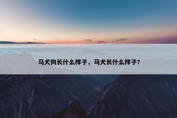 马犬狗长什么样子，马犬长什么样子?