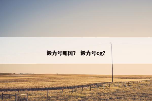 毅力号哪国？ 毅力号cg？