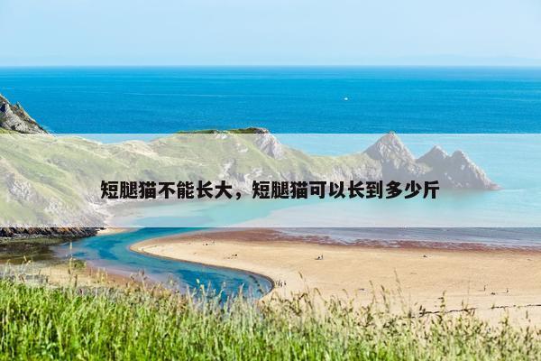 短腿猫不能长大，短腿猫可以长到多少斤