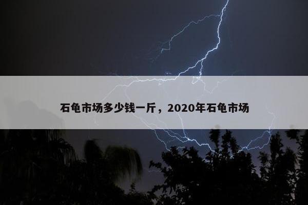 石龟市场多少钱一斤，2020年石龟市场