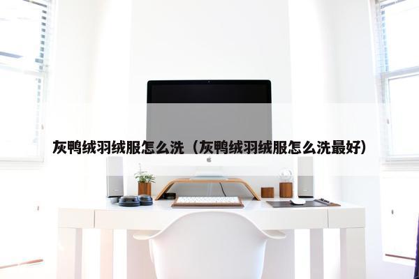 灰鸭绒羽绒服怎么洗（灰鸭绒羽绒服怎么洗最好）