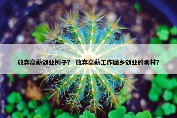 放弃高薪创业例子？ 放弃高薪工作回乡创业的素材？